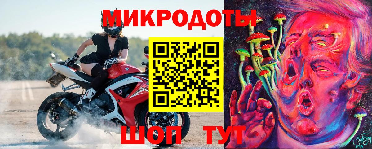 Псилоцибиновые грибы Psilocybine cubensis Большой Камень