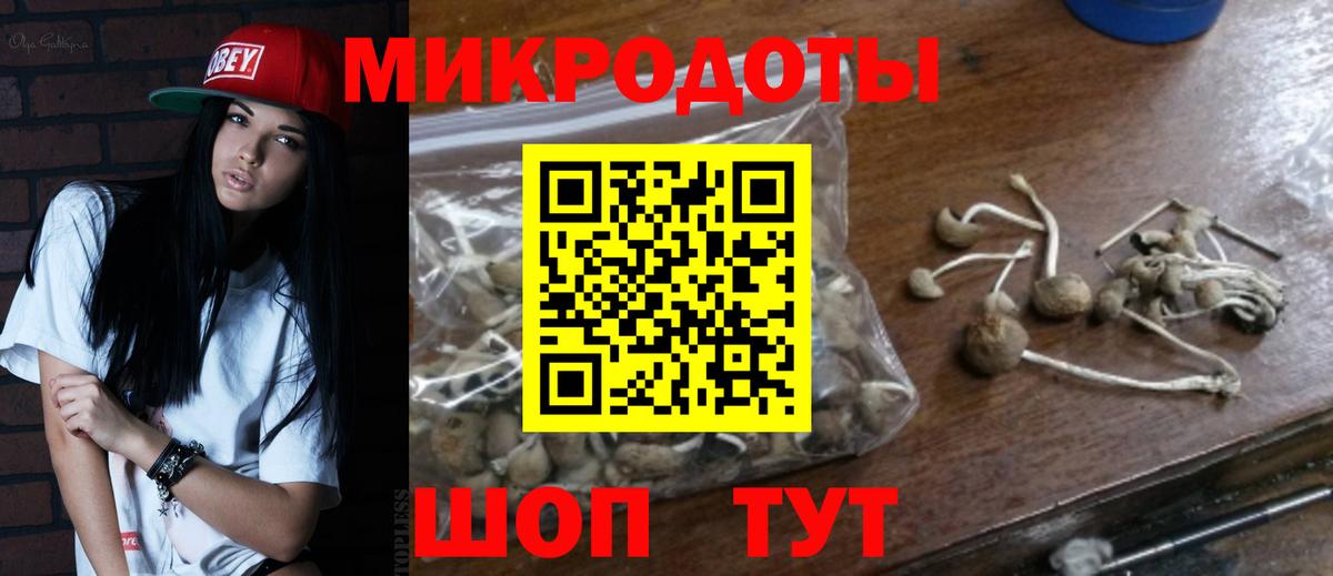 Псилоцибиновые грибы Psilocybine cubensis  Вход с VPN  Большой Камень 