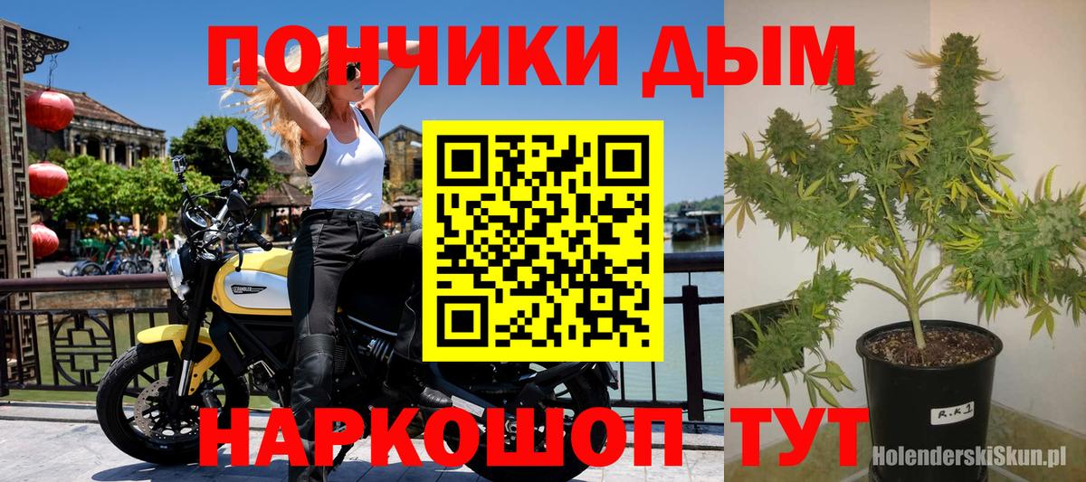 Бошки марихуана гибрид  Марихуана индика  Большой Камень  Вход с VPN  Бошки Шишки THC 21% 